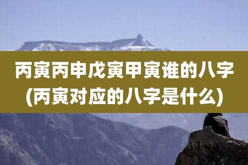 丙寅丙申戊寅甲寅谁的八字(丙寅对应的八字是什么)