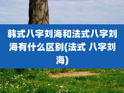 韩式八字刘海和法式八字刘海有什么区别(法式 八字刘海)
