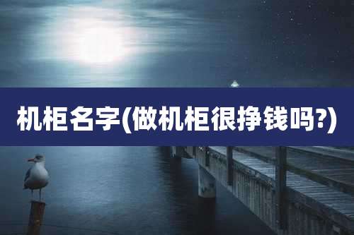 机柜名字(做机柜很挣钱吗?)
