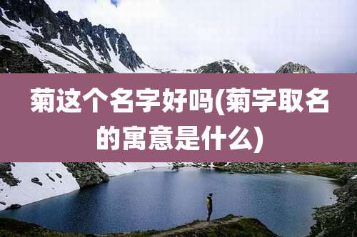 菊这个名字好吗(菊字取名的寓意是什么)