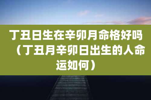 丁丑日生在辛卯月命格好吗(丁丑月辛卯日出生的人命运如何)