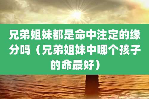 兄弟姐妹都是命中注定的缘分吗(兄弟姐妹中哪个孩子的命最好)