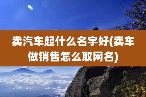 卖汽车起什么名字好(卖车做销售怎么取网名)