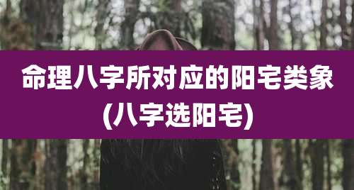 命理八字所对应的阳宅类象(八字选阳宅)