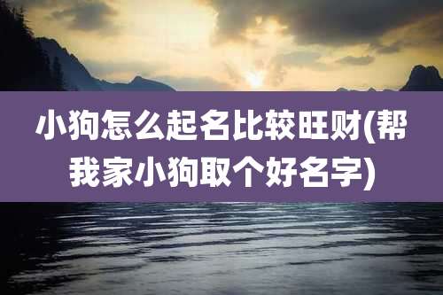 小狗怎么起名比较旺财(帮我家小狗取个好名字)