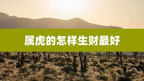 属虎的怎样生财最好