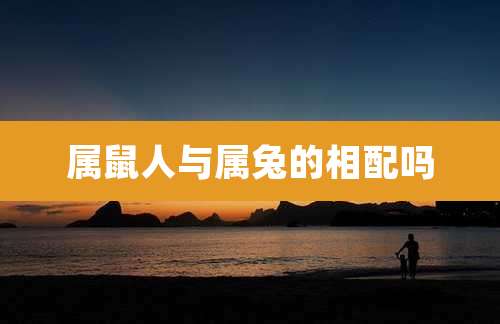 属鼠人与属兔的相配吗