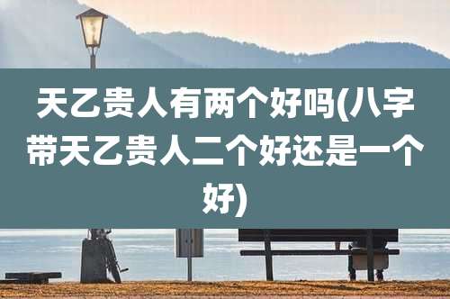 天乙贵人有两个好吗(八字带天乙贵人二个好还是一个好)