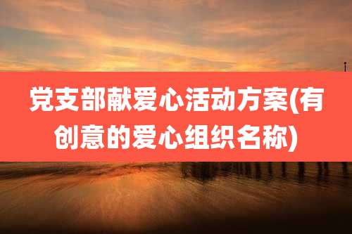 党支部献爱心活动方案(有创意的爱心组织名称)