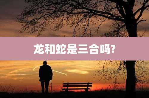 龙和蛇是三合吗?