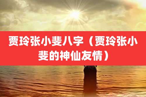 贾玲张小斐八字(贾玲张小斐的神仙友情)