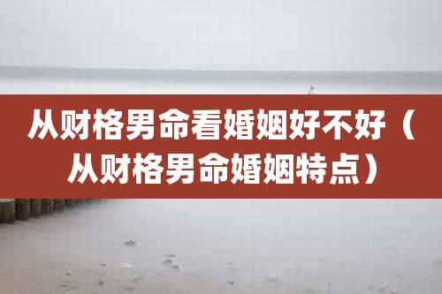 从财格男命看婚姻好不好(从财格男命婚姻特点)
