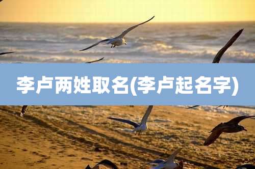 李卢两姓取名(李卢起名字)