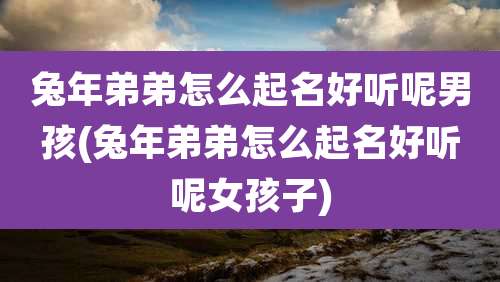 兔年弟弟怎么起名好听呢男孩(兔年弟弟怎么起名好听呢女孩子)