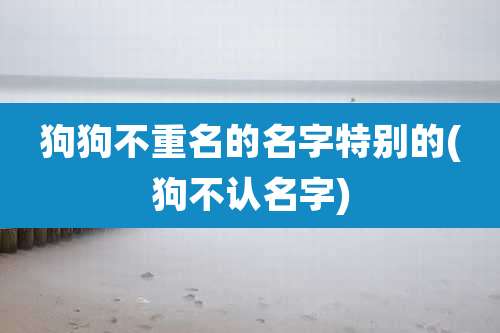 狗狗不重名的名字特别的(狗不认名字)