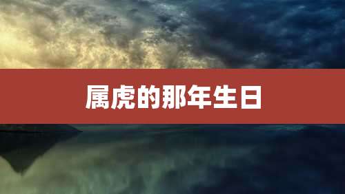 属虎的那年生日