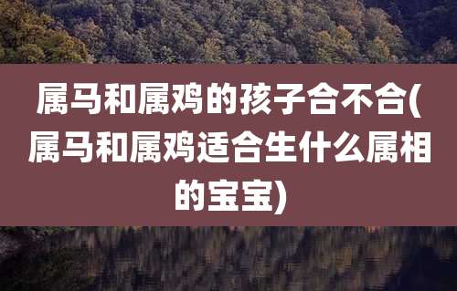 属马和属鸡的孩子合不合(属马和属鸡适合生什么属相的宝宝)