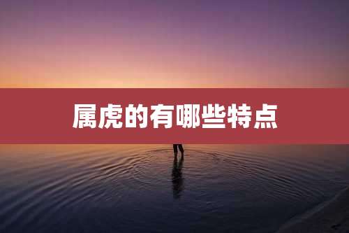 属虎的有哪些特点