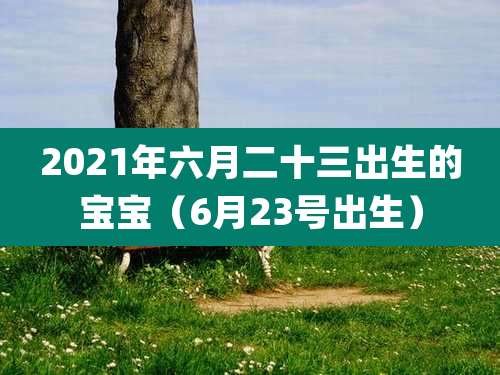 2021年六月二十三出生的宝宝(6月23号出生)
