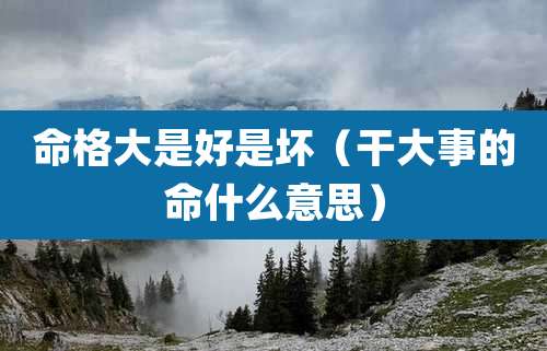 命格大是好是坏(干大事的命什么意思)