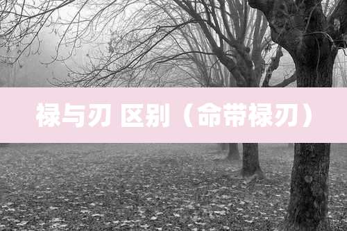 禄与刃 区别(命带禄刃)