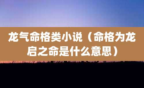 龙气命格类小说(命格为龙启之命是什么意思)