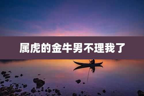 属虎的金牛男不理我了