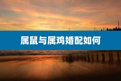 属鼠与属鸡婚配如何