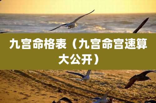 九宫命格表(九宫命宫速算大公开)