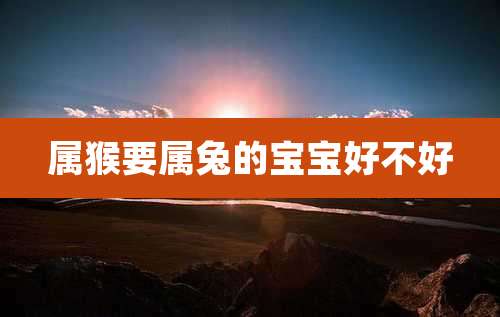 属猴要属兔的宝宝好不好