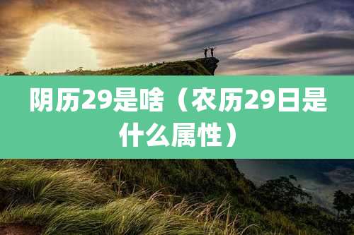 阴历29是啥(农历29日是什么属性)