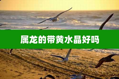 属龙的带黄水晶好吗