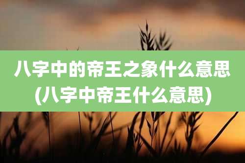 八字中的帝王之象什么意思(八字中帝王什么意思)