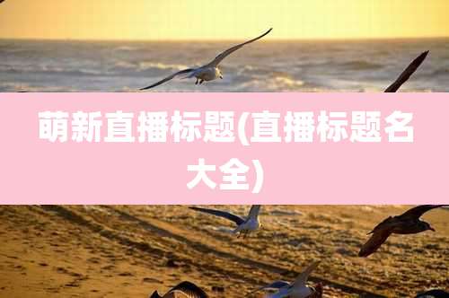 萌新直播标题(直播标题名大全)