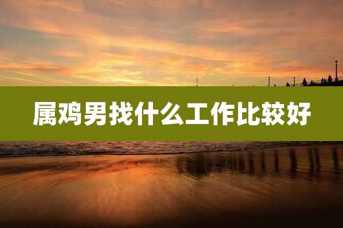 属鸡男找什么工作比较好