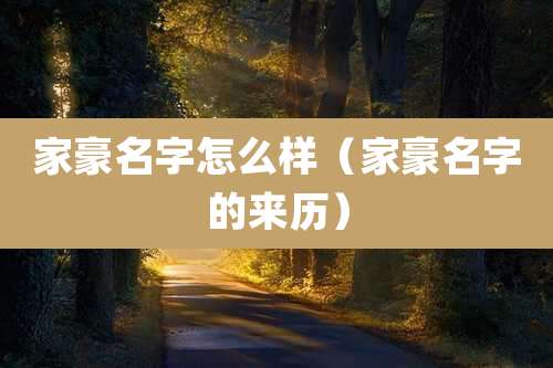 家豪名字怎么样(家豪名字的来历)