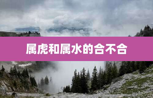 属虎和属水的合不合