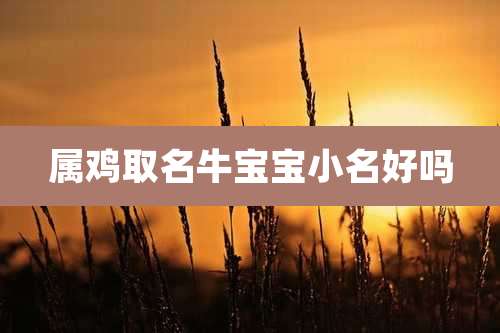 属鸡取名牛宝宝小名好吗