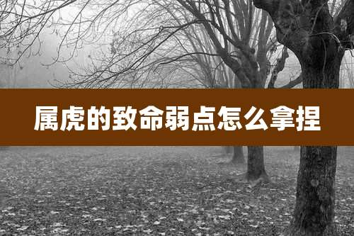 属虎的致命弱点怎么拿捏