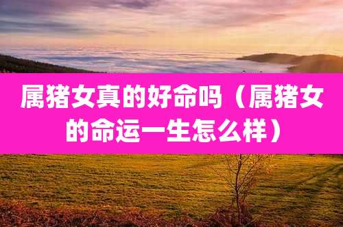 属猪女真的好命吗(属猪女的命运一生怎么样)