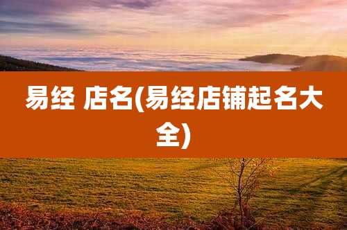易经 店名(易经店铺起名大全)