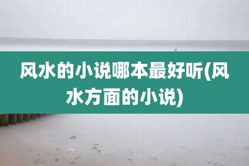 风水的小说哪本最好听(风水方面的小说)