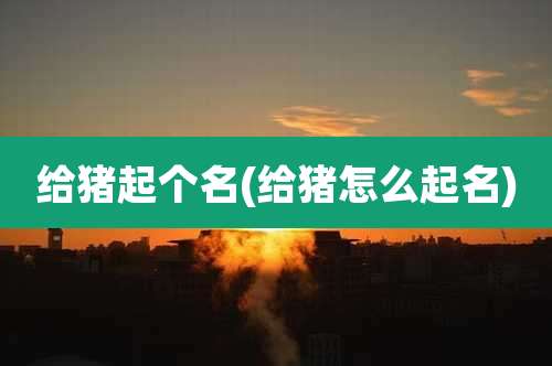 给猪起个名(给猪怎么起名)