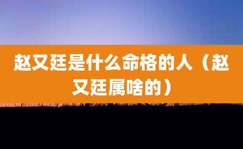 赵又廷是什么命格的人(赵又廷属啥的)