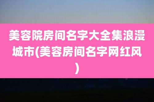 美容院房间名字大全集浪漫城市(美容房间名字网红风)