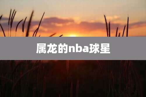 属龙的nba球星