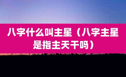 八字什么叫主星(八字主星是指主天干吗)