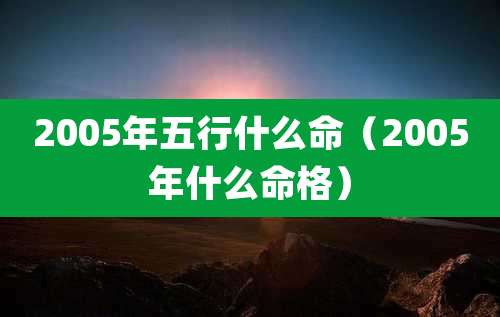 2005年五行什么命(2005年什么命格)