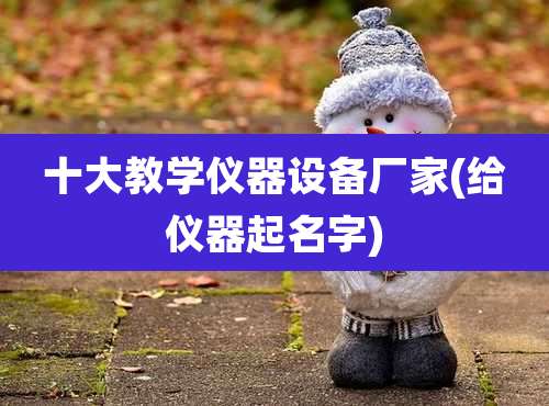 十大教学仪器设备厂家(给仪器起名字)