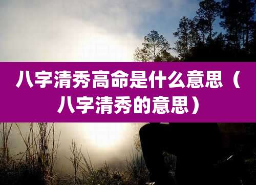八字清秀高命是什么意思(八字清秀的意思)